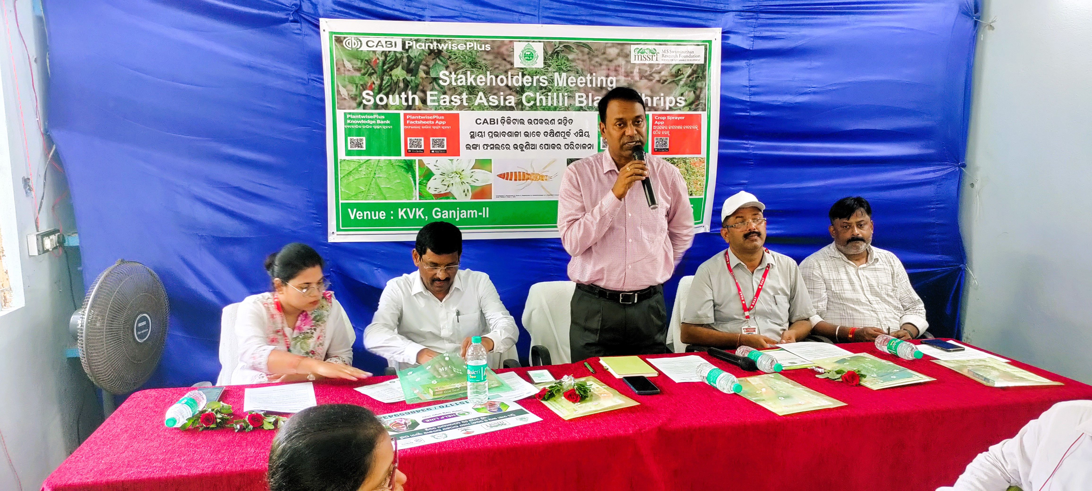 Extension Activities