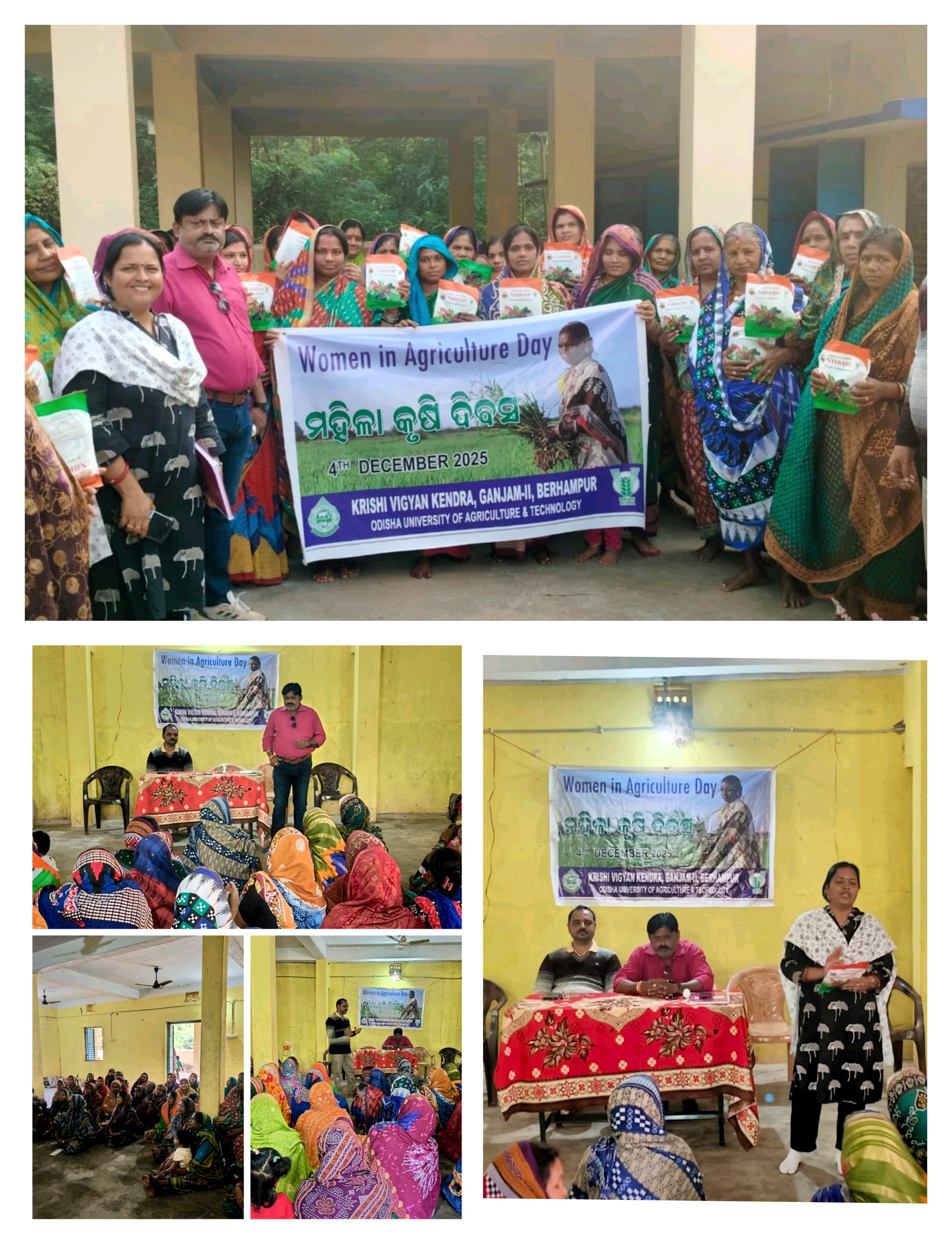 Extension Activities