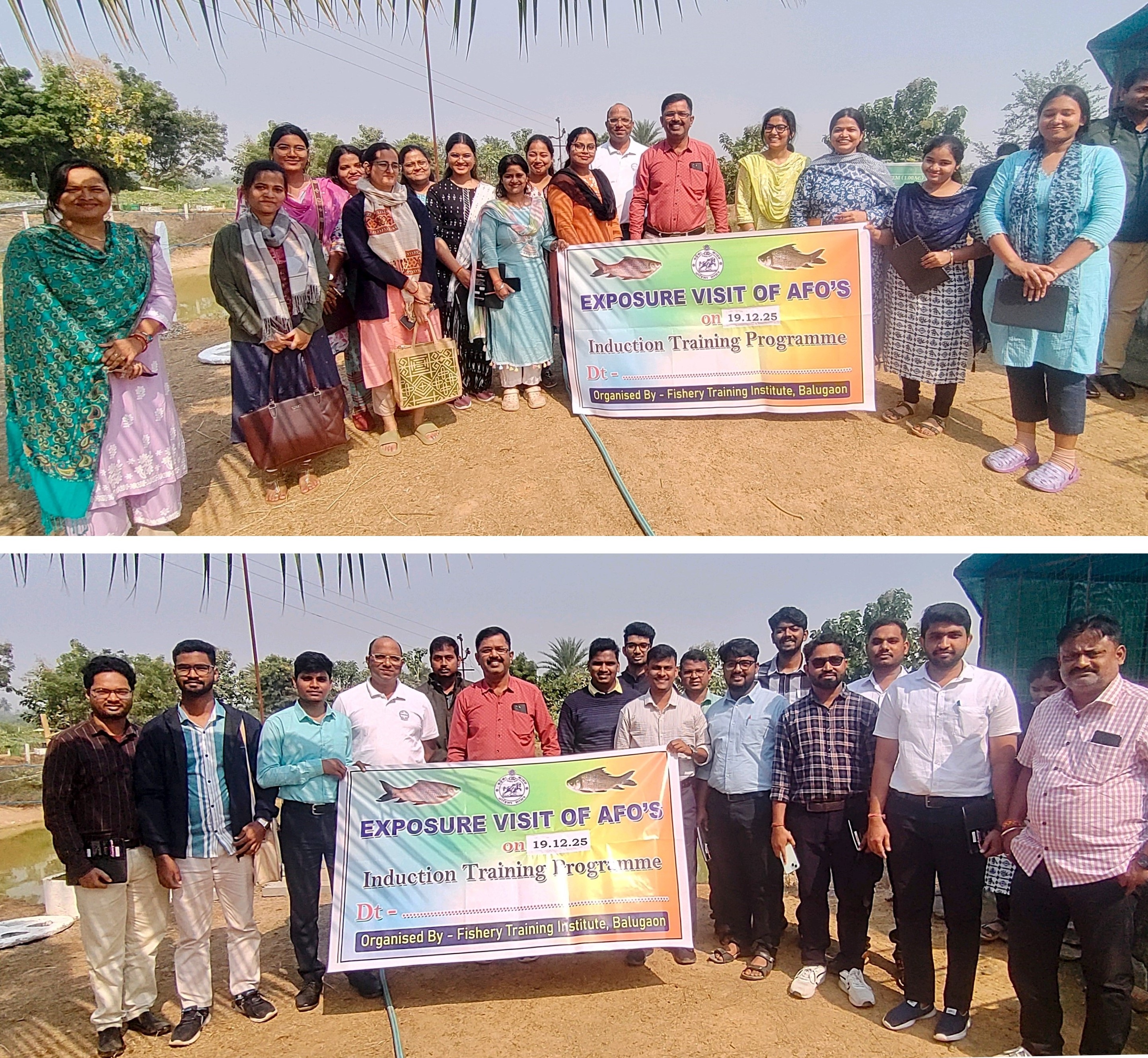 Extension Activities