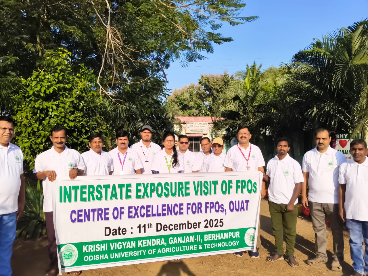 Extension Activities