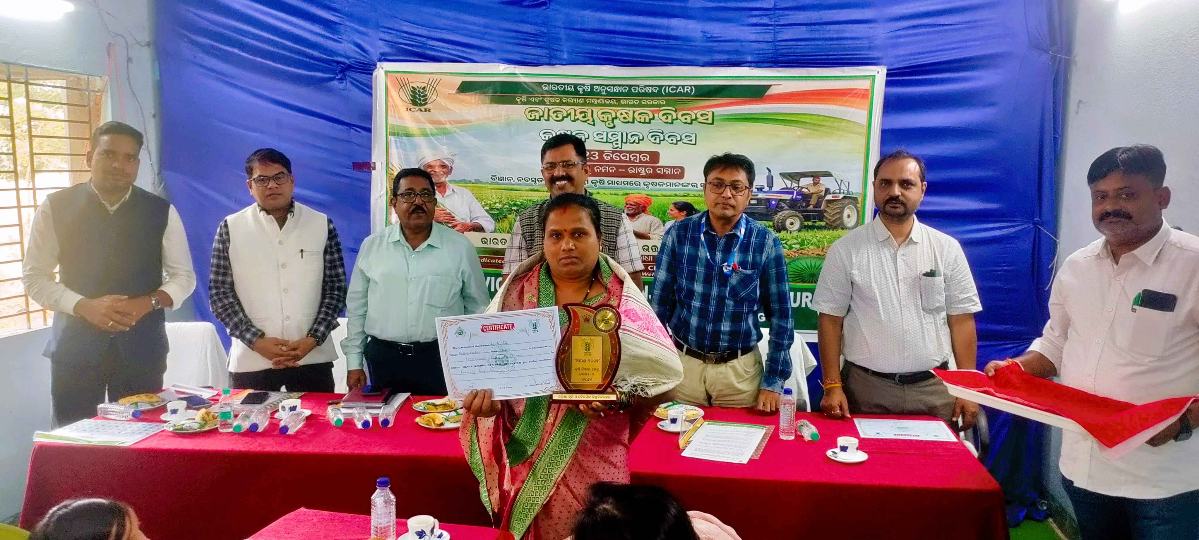 Extension Activities