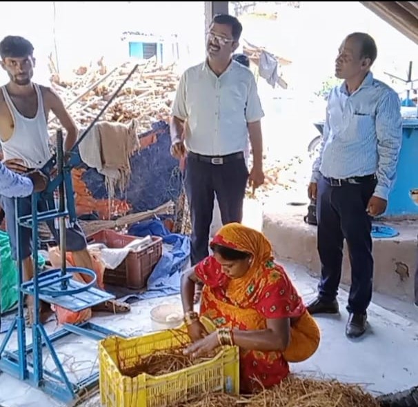 Extension Activities