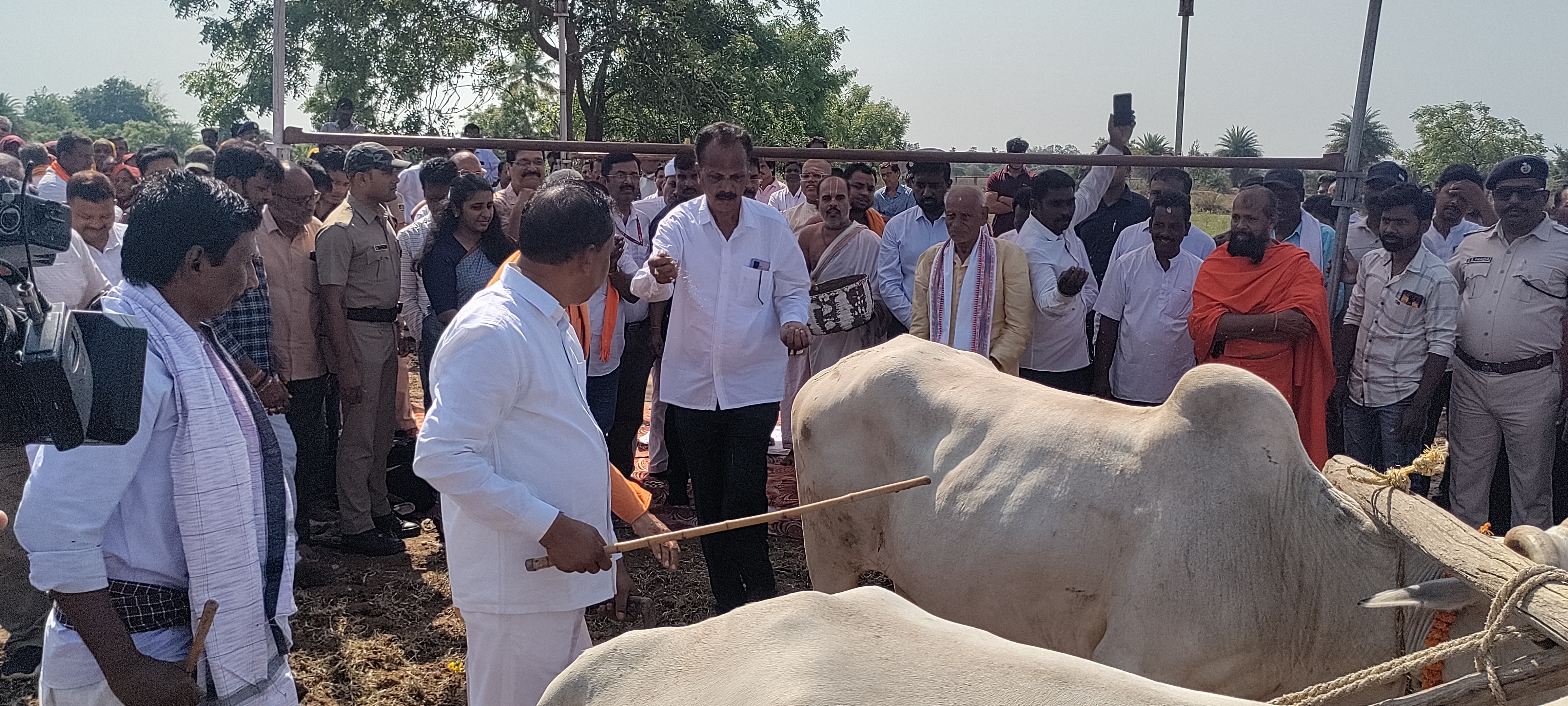 Extension Activities